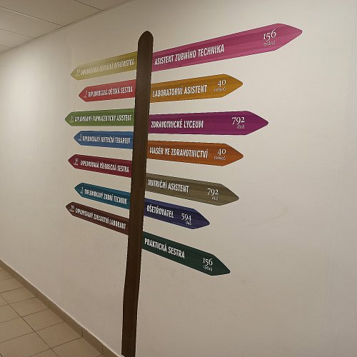 Polep stěn designovými tapetami