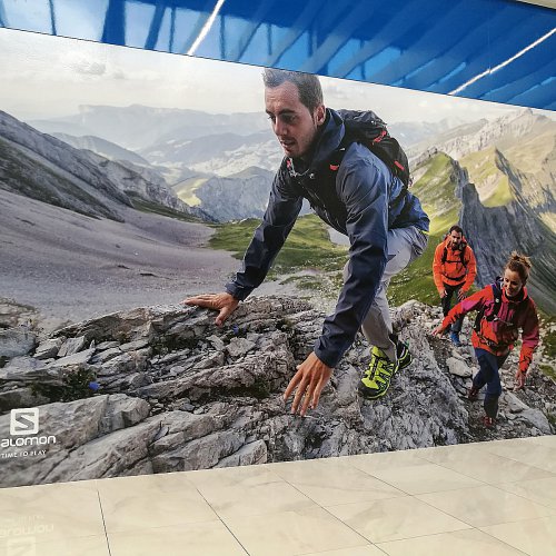 Polepy výloh prodejen