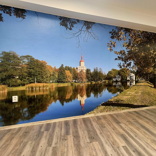 Polep stěn designovými tapetami