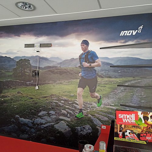 Polep stěn designovými tapetami