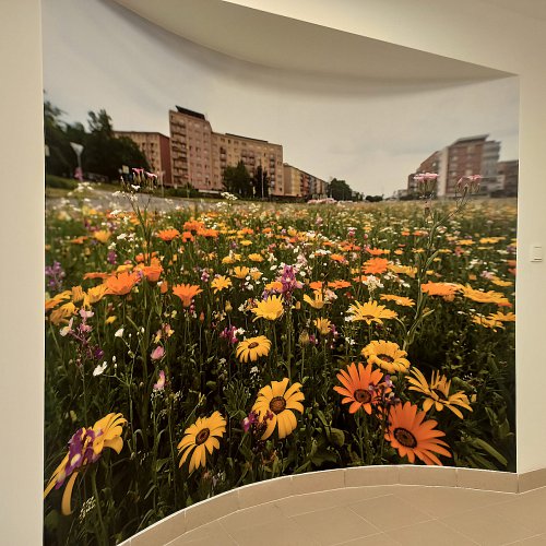 Polep stěn designovými tapetami